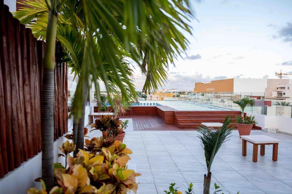 Amazing Actual - Few Steps 5° Av Playa del Carmen